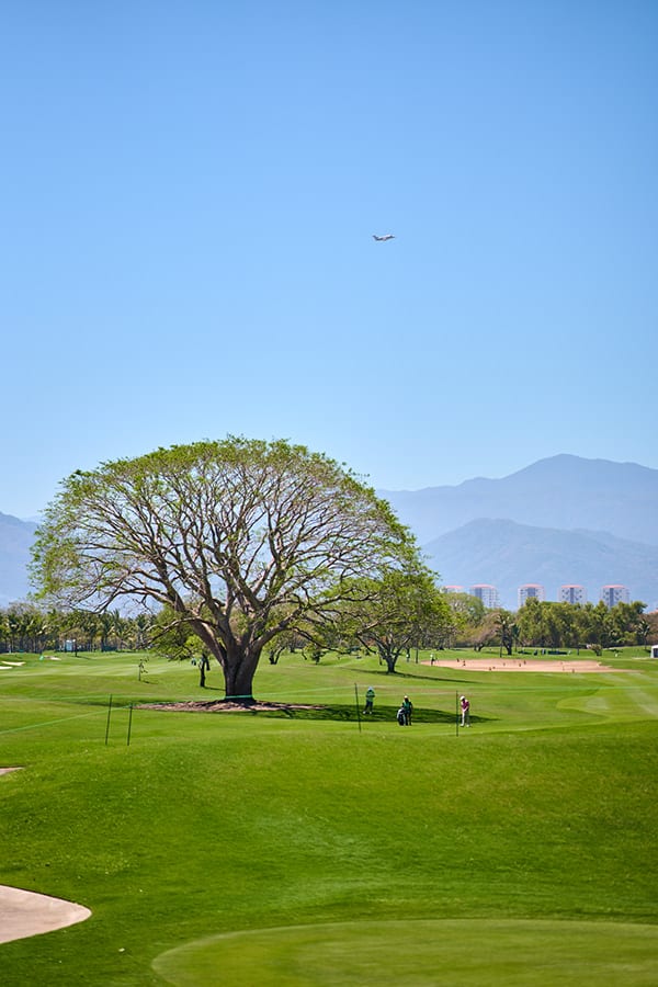 México Open at Vidanta 10