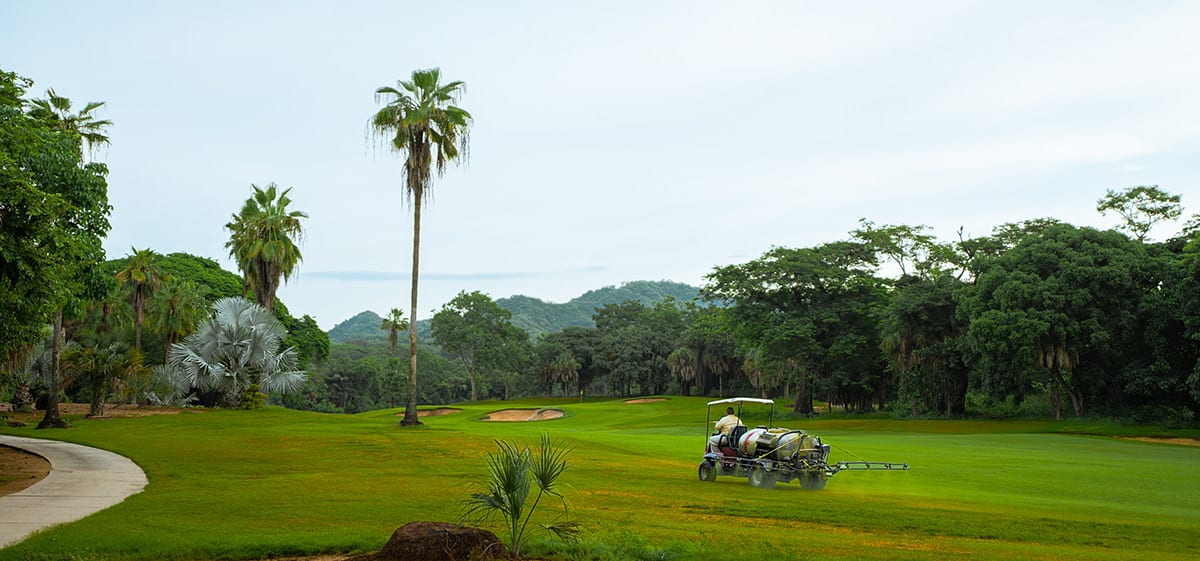 Vista Vallarta 5