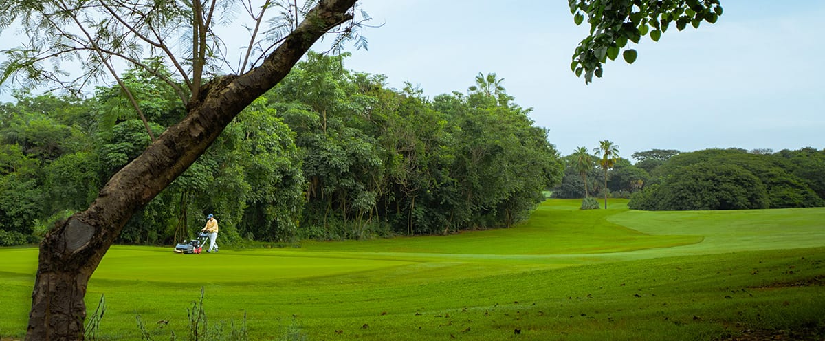 Vista Vallarta 6