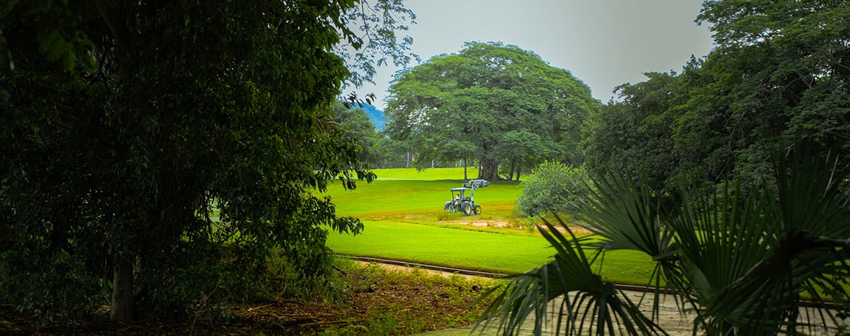 Vista Vallarta 7