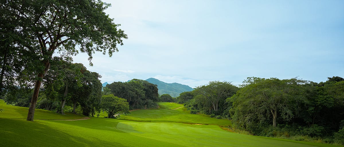 Vista Vallarta 9