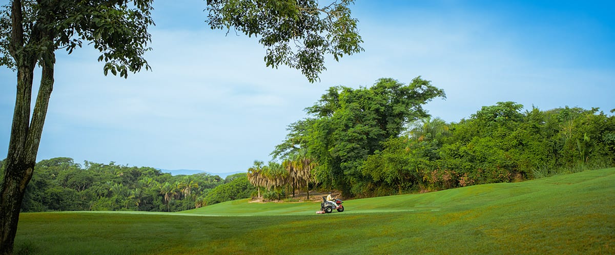 Vista Vallarta 10